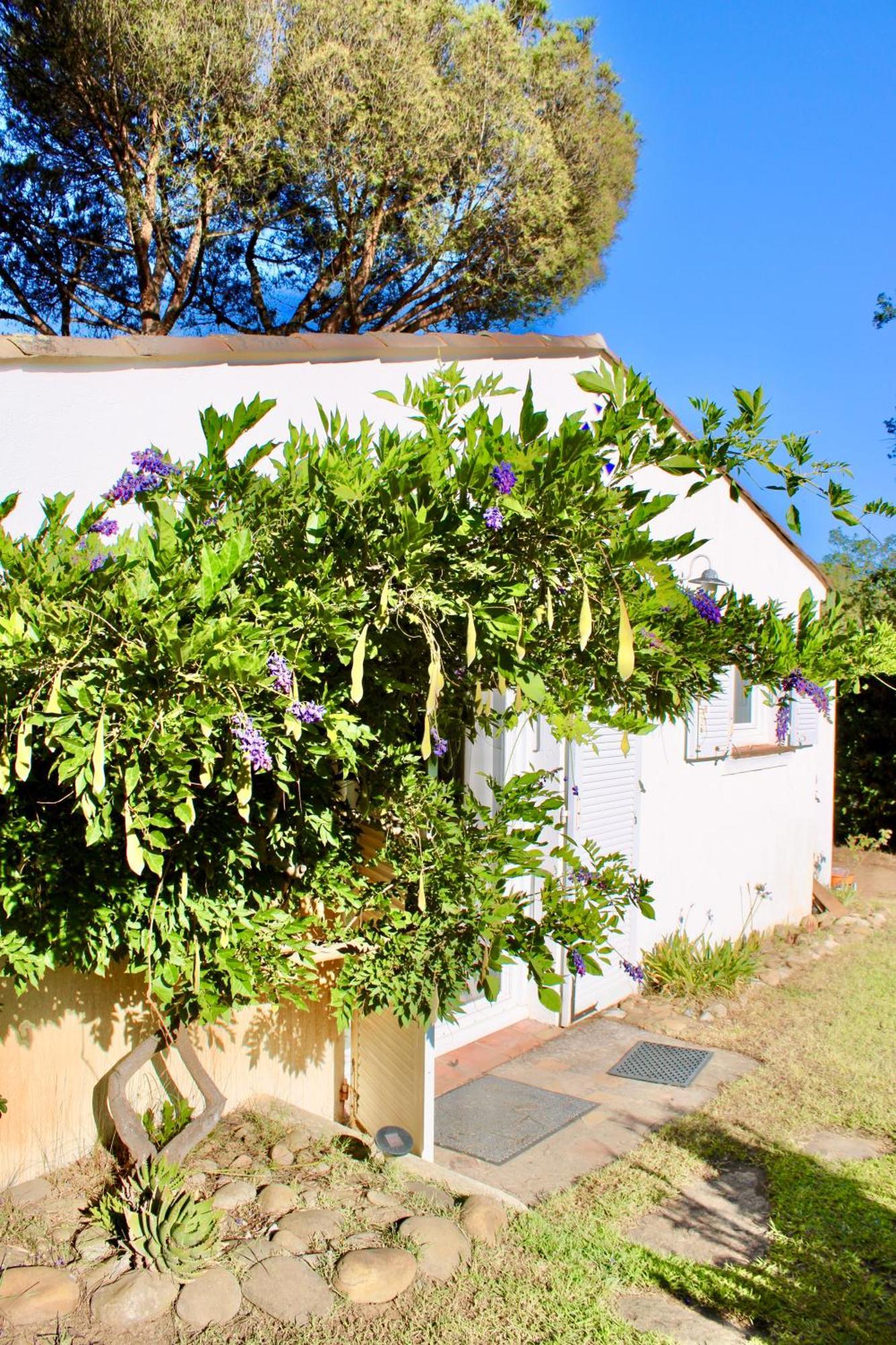 Provencale Golfe St Tropez Climatisee Piscine Chauffee, Spa, Billard, Wifi Debit Pro *